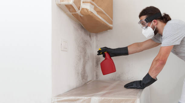 Professional Mold Remediation technician working in Fairview, OR
